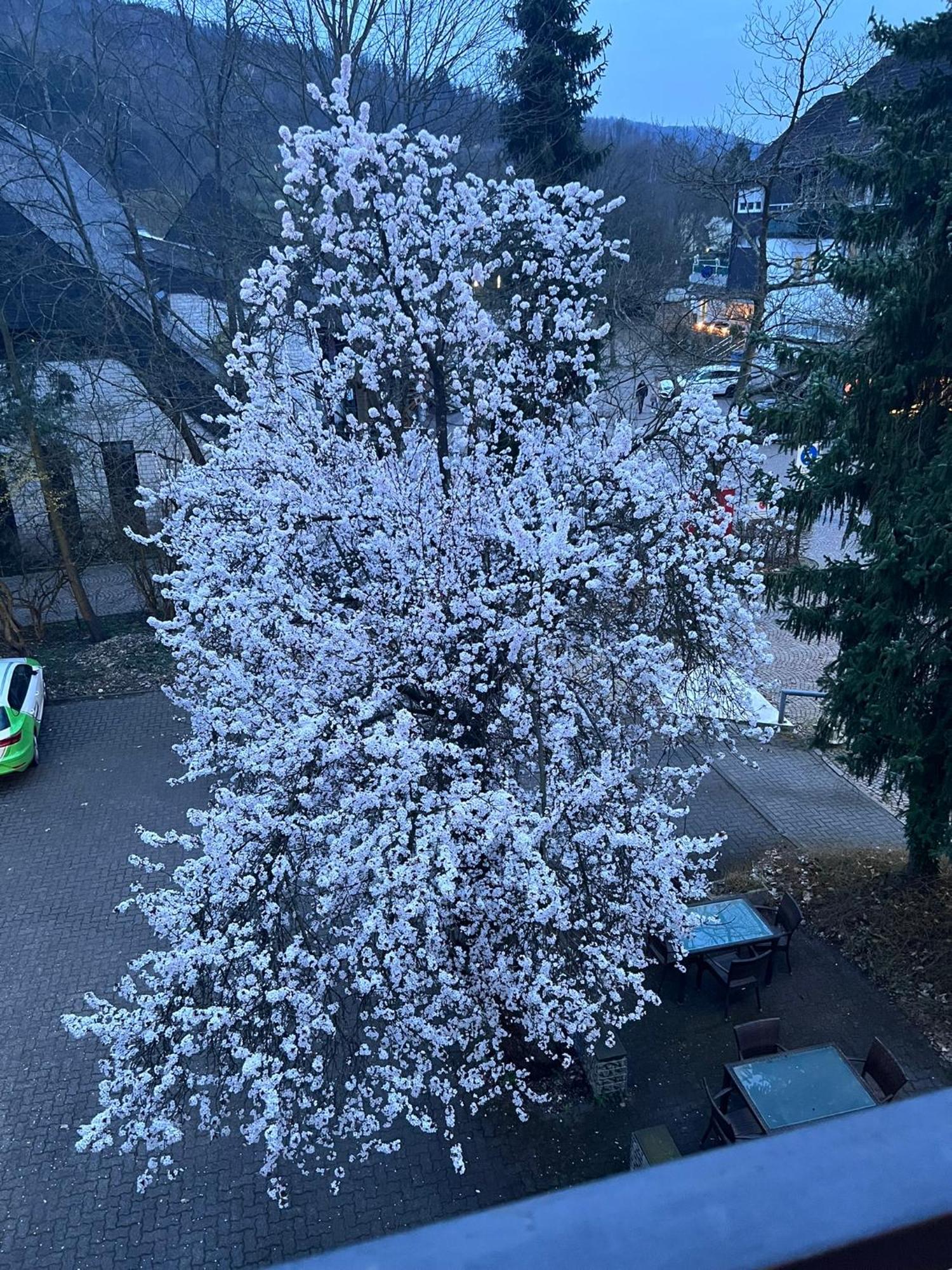 Hotel Wittgensteiner Hof Bad Laasphe Exteriör bild